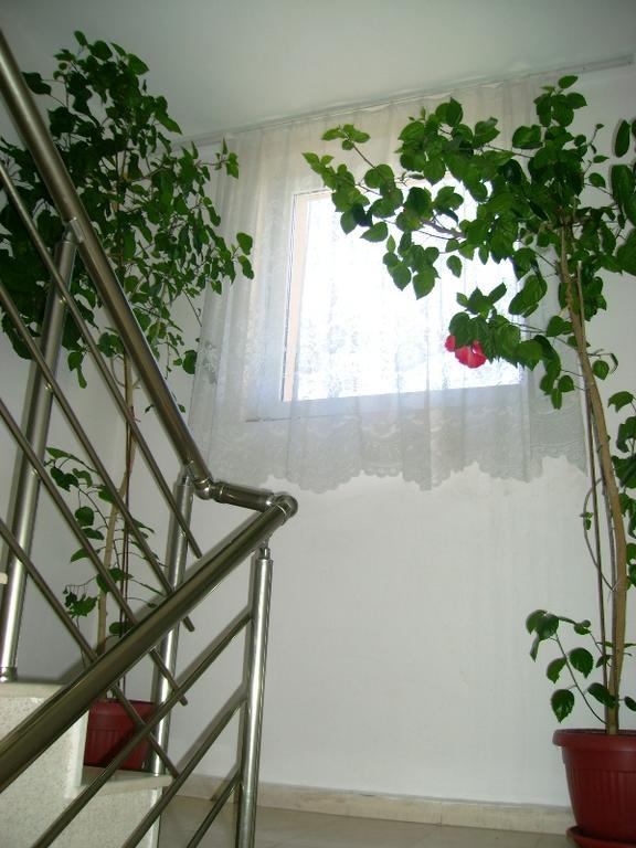 Guest House Jumbo Aheloy Esterno foto